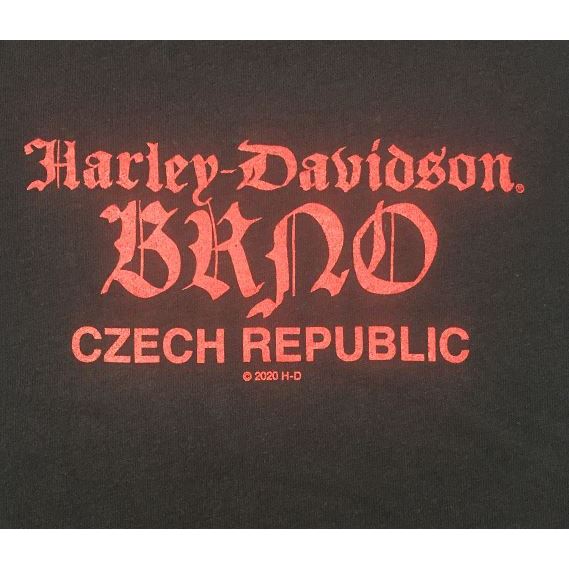 Dámské tričko Brněnská záda R003597