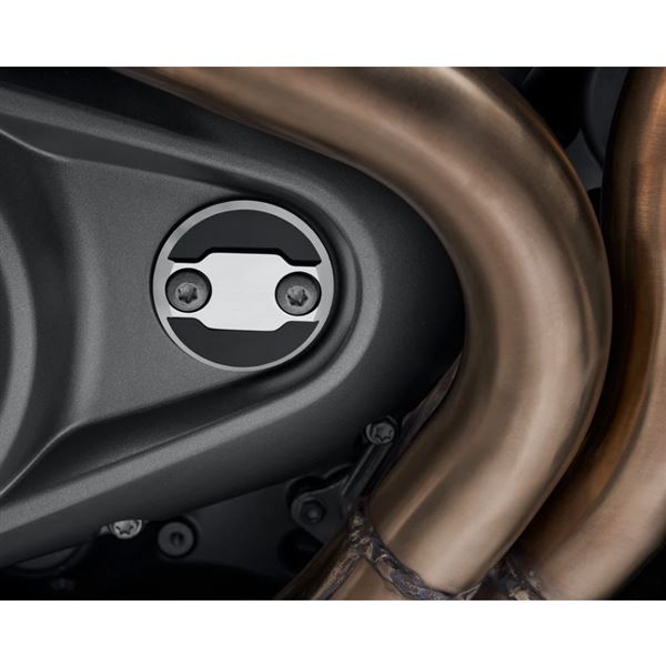 Wild One Timer Medallion 14101398