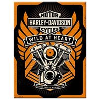 Magnetka motor Harley-Davidson