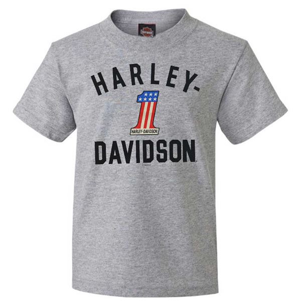 Dětské tričko 1589361 LTL BOYS TEE H-D