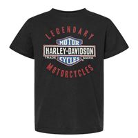 2026 ARRIVAL LITTLE BOYS LEGENDARY B&S TEE / 1589504 – dětské tričko