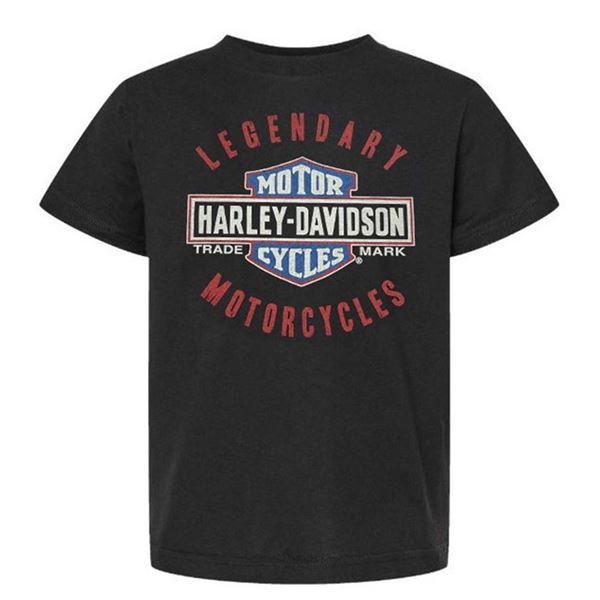 2026 ARRIVAL LITTLE BOYS LEGENDARY B&S TEE / 1589504 – dětské tričko 
