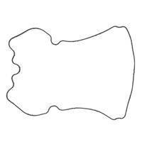 ROCKER ARM COVER GASKET / 25700929 – těsnění krytu vačkových pák (rocker arm cover)