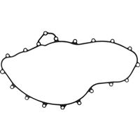 CRANKCASE GASKET / 25700981 – těsnění klikové skříně (Pan America)