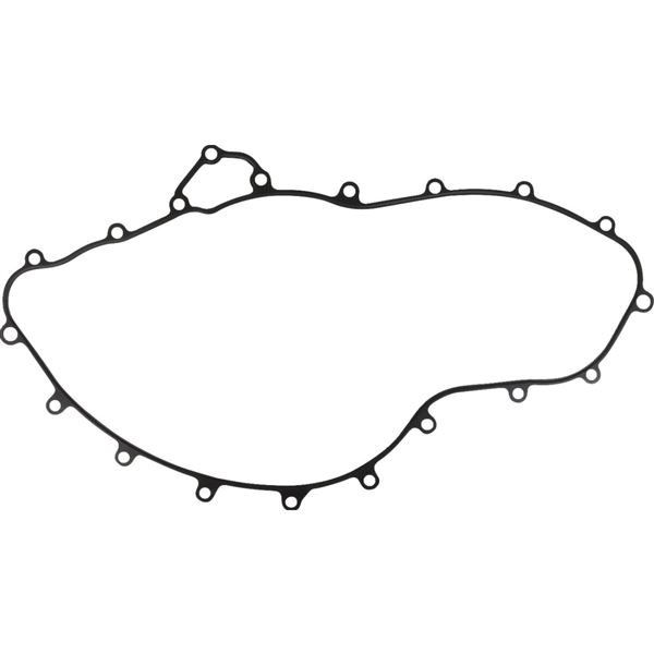 CRANKCASE GASKET / 25700981 – těsnění klikové skříně (Pan America)