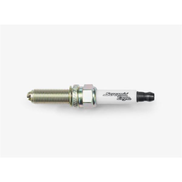 PAN AMERICA Screamin