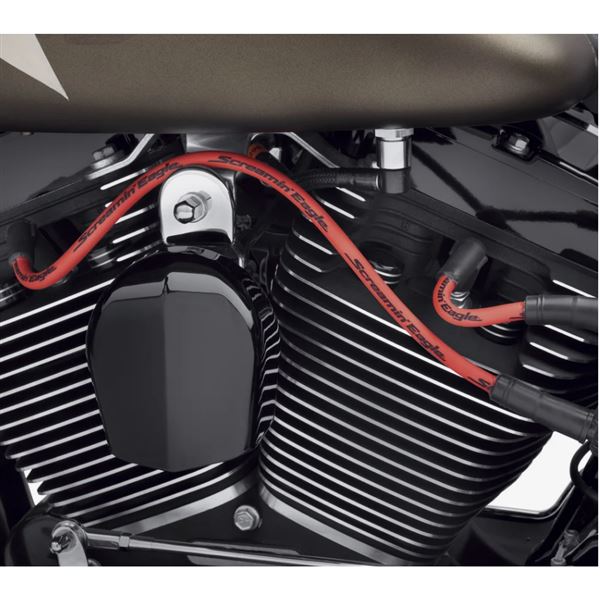 Harley-Davidson Screamin