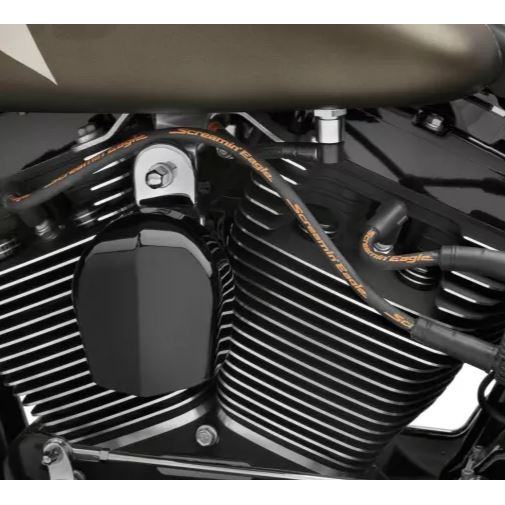 Harley-Davidson Screamin