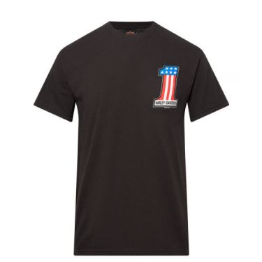 Pánské tričko 40291844