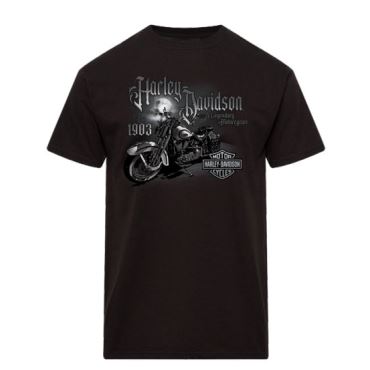 Pánské tričko 40294723