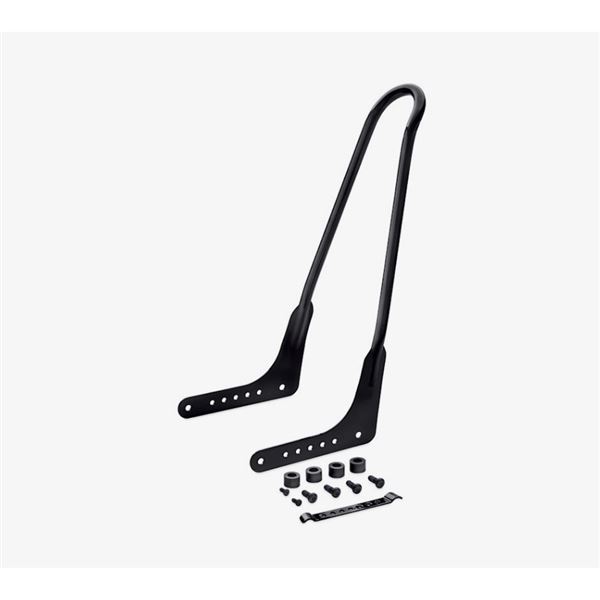 One-Piece Tall Rigid Mount Sissy Bar lesklá černá - 52300502