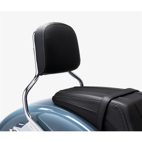 Mid-Sized Passenger Backrest Pad  52300733