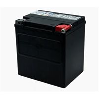 Harley-Davidson AGM Original Battery – 12 V 66000212B