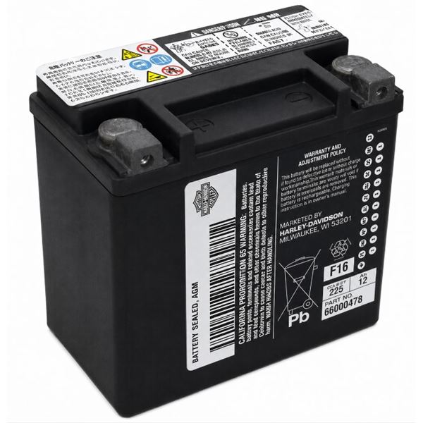 Baterie H‑D AGM   pro V‑ROD (02–06) - 66000478