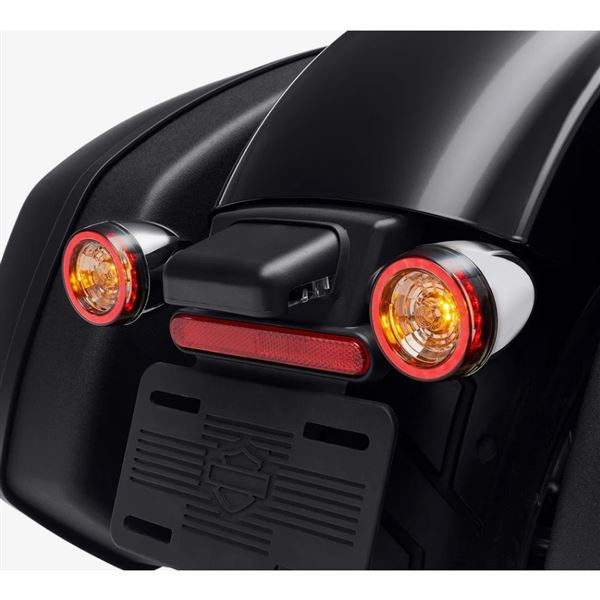 Rear Signature LED Turn Signal Assembly 67801151