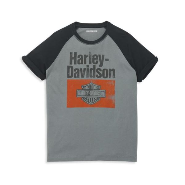Pánské tričko Harley-Davidson 96181-22VM