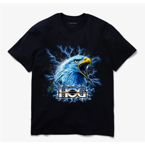 Pánské tričko HOG Harley-Davidson 96889-25VX