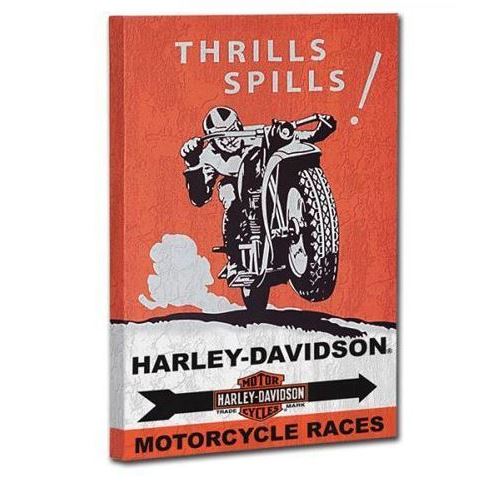 Obraz Harley-Davidson HDL-15701