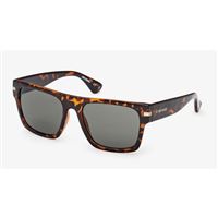 2026 ARRIVAL Harley-Davidson® Wayfarer Sunglasses – Tortoise/Green  