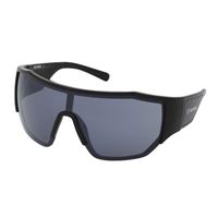 2026 ARRIVAL Men's Fixed Sunglasses – Shiny Black / Smoke Lens 