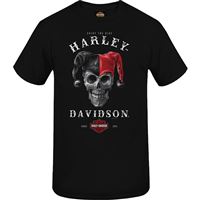 Pánské tričko Brněnská záda R004005